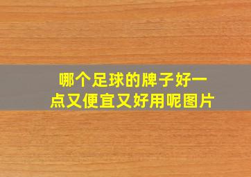 哪个足球的牌子好一点又便宜又好用呢图片