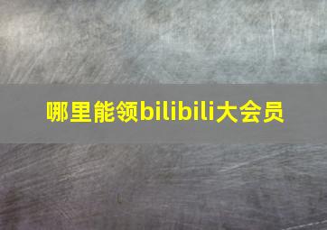 哪里能领bilibili大会员