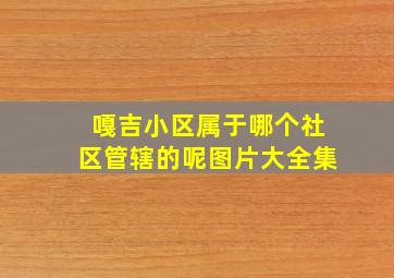 嘎吉小区属于哪个社区管辖的呢图片大全集