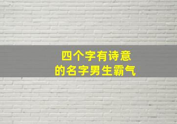 四个字有诗意的名字男生霸气