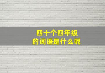 四十个四年级的词语是什么呢