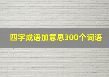 四字成语加意思300个词语