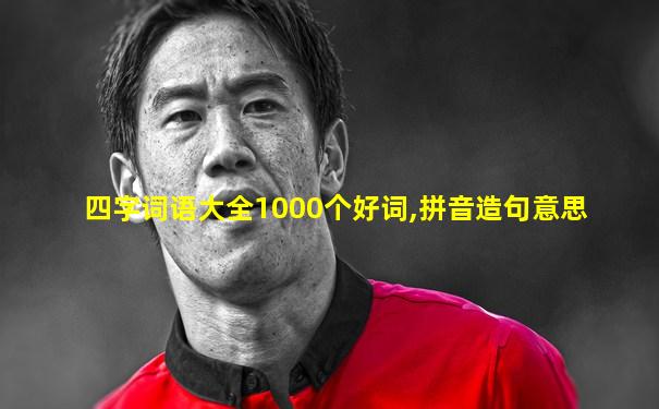 四字词语大全1000个好词,拼音造句意思