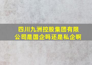 四川九洲控股集团有限公司是国企吗还是私企啊