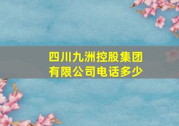 四川九洲控股集团有限公司电话多少