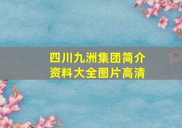 四川九洲集团简介资料大全图片高清