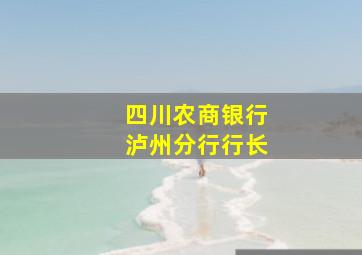 四川农商银行泸州分行行长