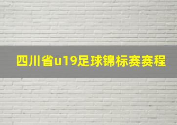 四川省u19足球锦标赛赛程