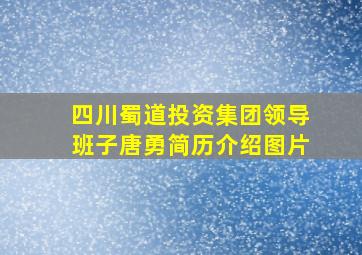 四川蜀道投资集团领导班子唐勇简历介绍图片