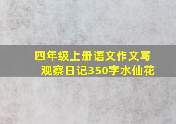 四年级上册语文作文写观察日记350字水仙花