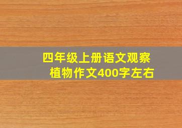 四年级上册语文观察植物作文400字左右