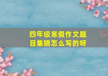 四年级寒假作文题目集锦怎么写的呀