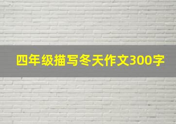 四年级描写冬天作文300字