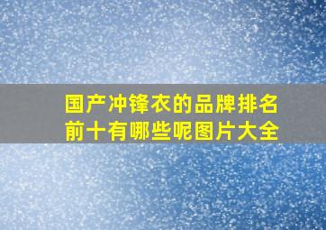 国产冲锋衣的品牌排名前十有哪些呢图片大全