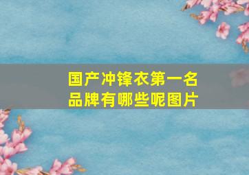 国产冲锋衣第一名品牌有哪些呢图片