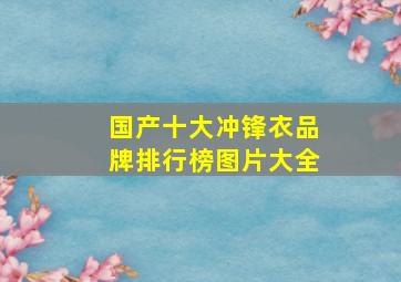 国产十大冲锋衣品牌排行榜图片大全