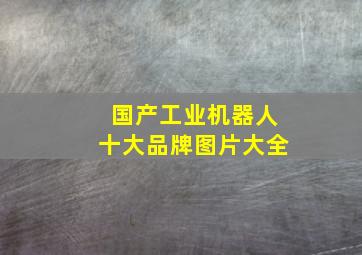 国产工业机器人十大品牌图片大全