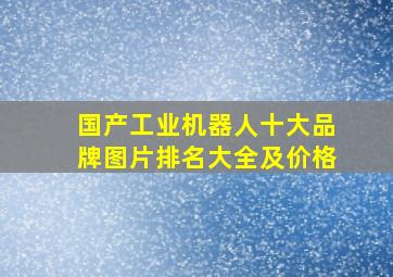 国产工业机器人十大品牌图片排名大全及价格