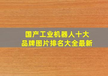 国产工业机器人十大品牌图片排名大全最新