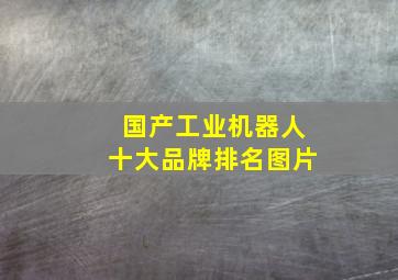 国产工业机器人十大品牌排名图片