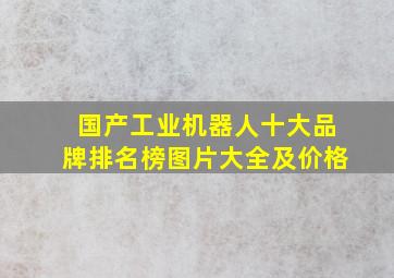 国产工业机器人十大品牌排名榜图片大全及价格