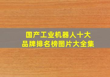 国产工业机器人十大品牌排名榜图片大全集