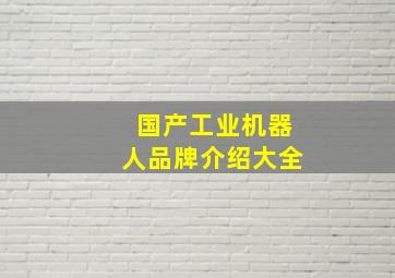 国产工业机器人品牌介绍大全