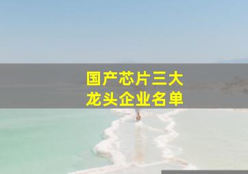 国产芯片三大龙头企业名单