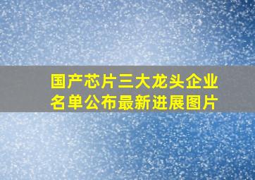 国产芯片三大龙头企业名单公布最新进展图片