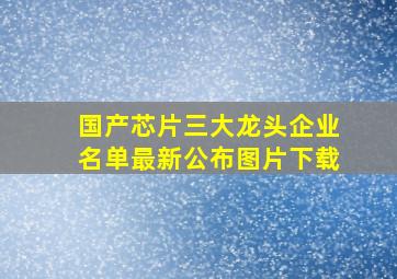 国产芯片三大龙头企业名单最新公布图片下载