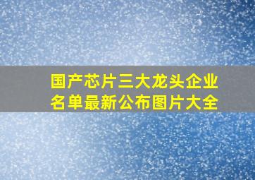 国产芯片三大龙头企业名单最新公布图片大全