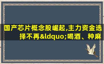 国产芯片概念股崛起,主力资金选择不再“喝酒、种麻”