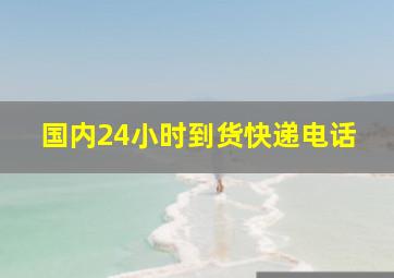 国内24小时到货快递电话