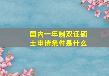 国内一年制双证硕士申请条件是什么