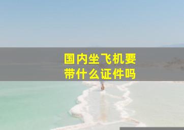 国内坐飞机要带什么证件吗