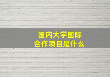 国内大学国际合作项目是什么