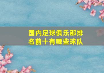 国内足球俱乐部排名前十有哪些球队