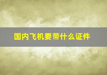 国内飞机要带什么证件