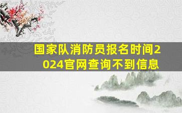 国家队消防员报名时间2024官网查询不到信息