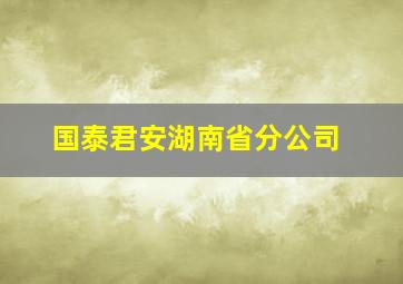 国泰君安湖南省分公司