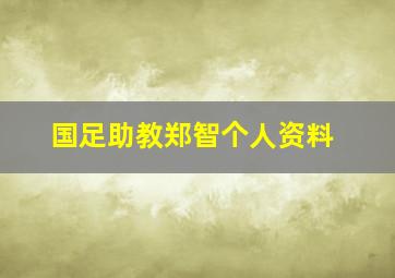 国足助教郑智个人资料