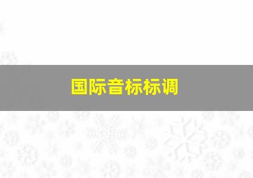 国际音标标调