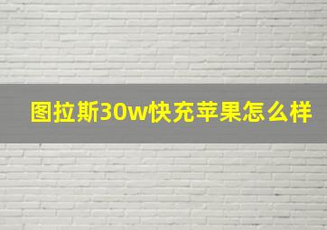 图拉斯30w快充苹果怎么样