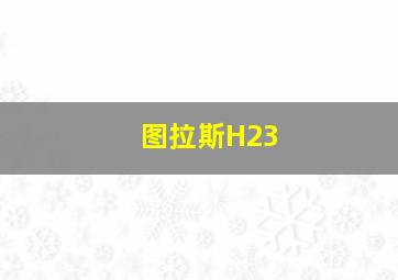 图拉斯H23