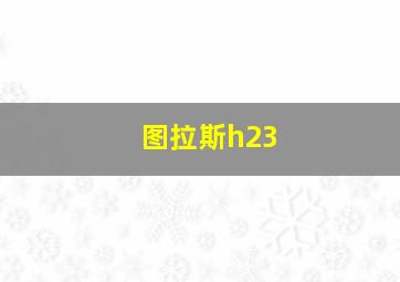 图拉斯h23