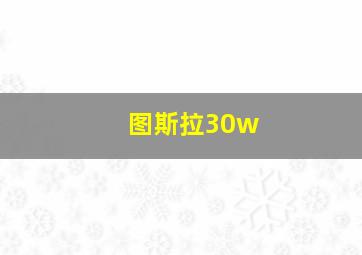 图斯拉30w