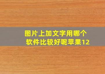 图片上加文字用哪个软件比较好呢苹果12