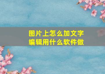 图片上怎么加文字编辑用什么软件做