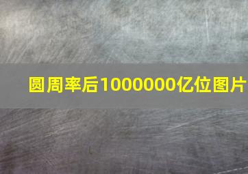 圆周率后1000000亿位图片