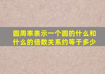 圆周率表示一个圆的什么和什么的倍数关系约等于多少